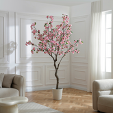 Cerisier en fleurs en pot 245 cm